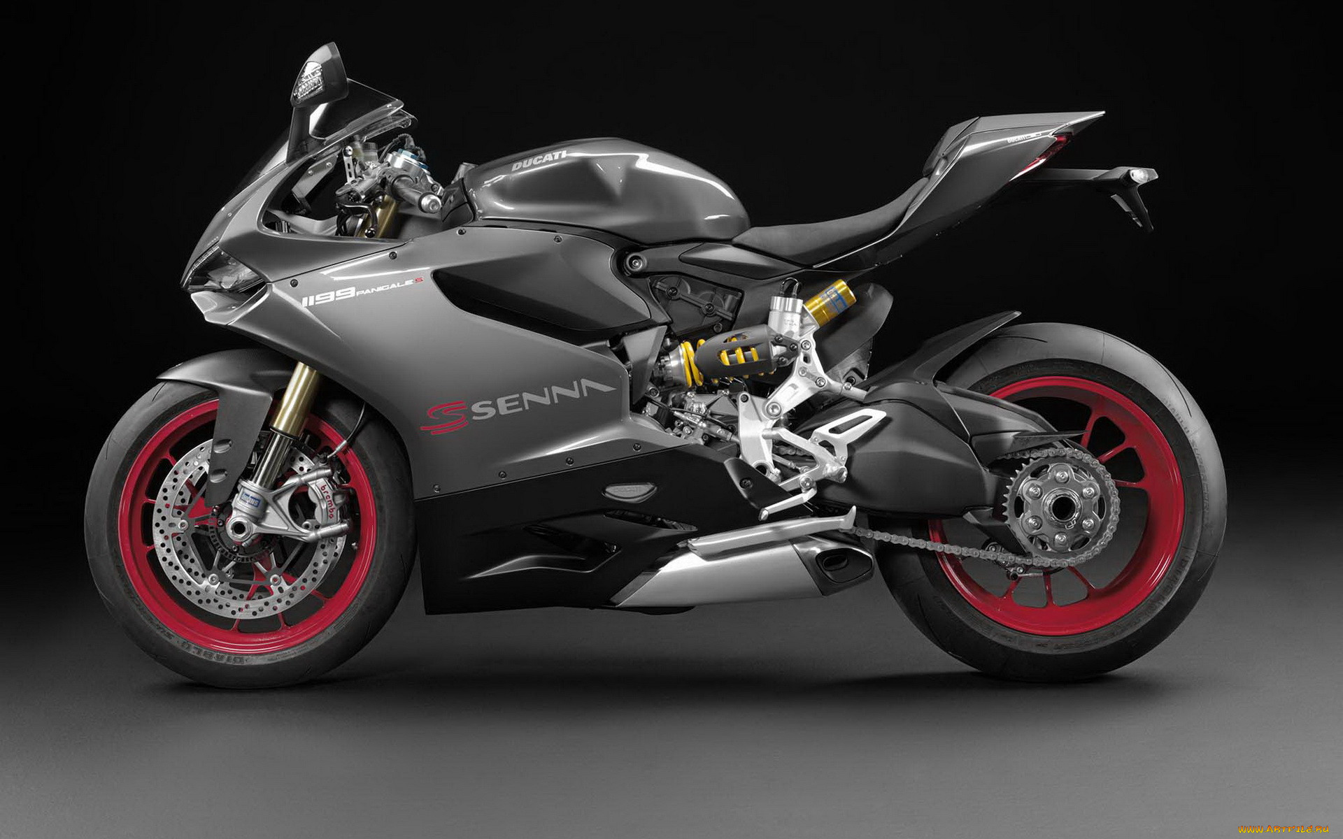 , ducati, senna, tribute, f1